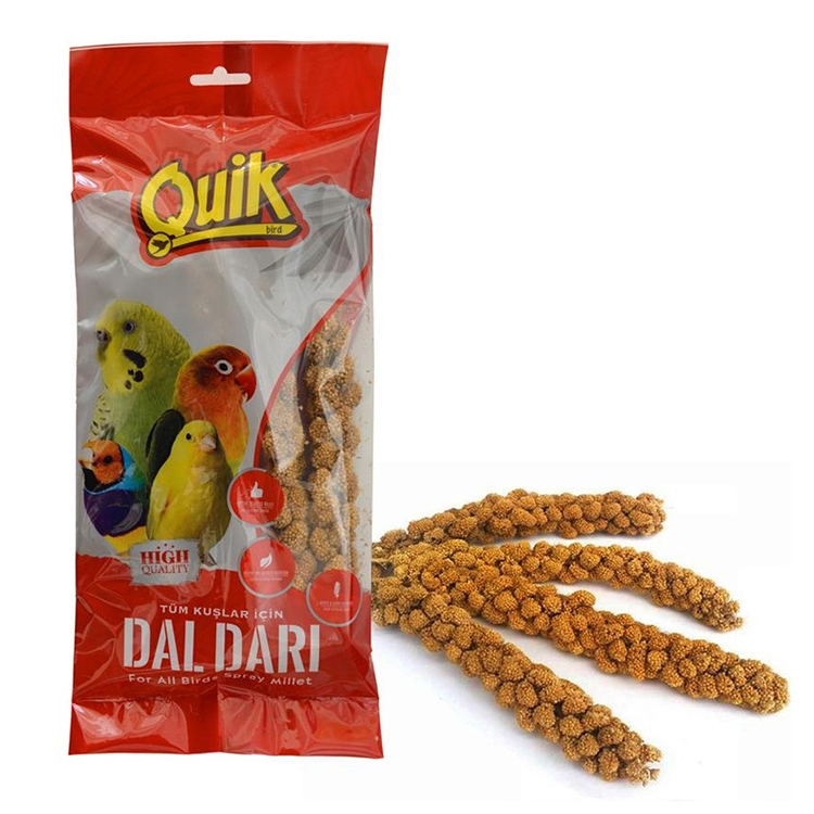 quik dal darı