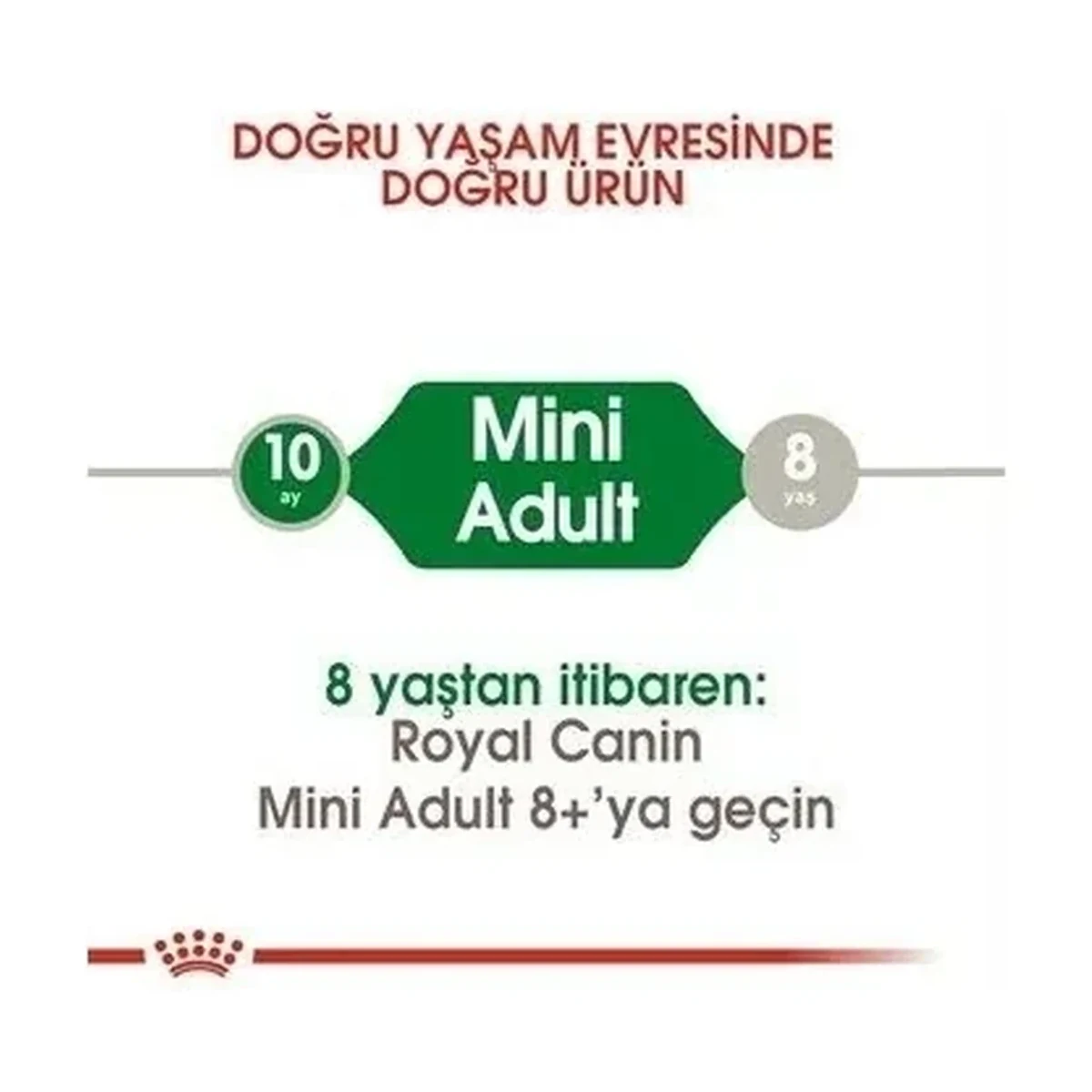 Royal Canin Mini Adult Yetişkin Köpek Maması 2 kg - Görsel 3