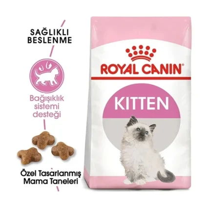 Royal Canin Kitten Yavru Kedi Maması 4 kg