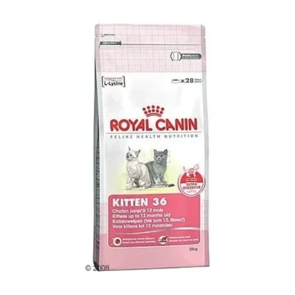 Royal Canin Kitten Yavru Kedi Maması 10 kg