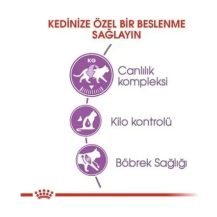 Royal Canin Sterilised 37 Kısırlaştırılmış Yetişkin Kedi Maması 4 kg