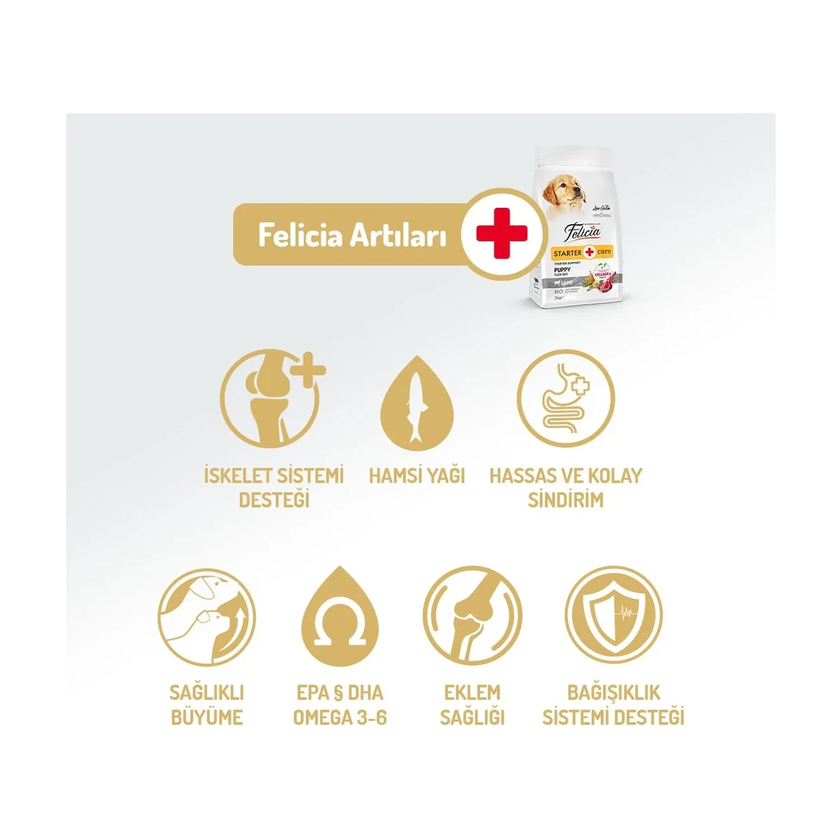 Felicia 3 Kg Yavru Kuzulu Small/Mini Az Tahıllı HypoAllergenic Kö - Görsel 2